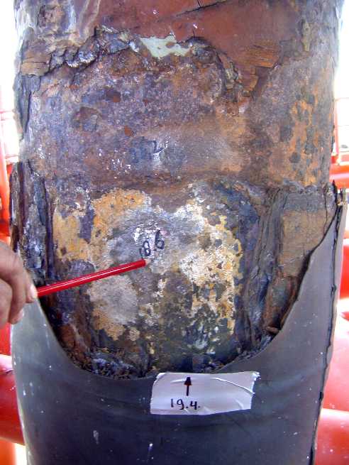 WhatsApp Image 2025-07-31 at 14.48.52 (1)