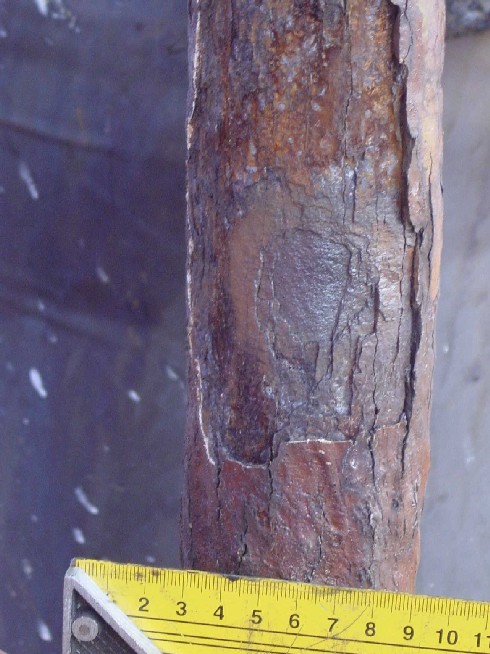 WhatsApp Image 2025-07-31 at 14.48.52